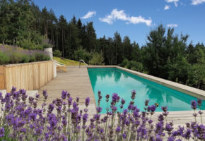Lavender-hill turizem turizem nočitev sprostitev oddih bazen kopanje
