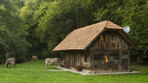 Kmetija Šeruga - Najem kašče z zajtrkom in večerjo