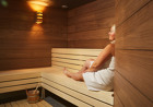 Wellness Terme Lendava