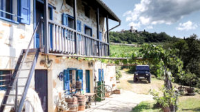 Wine Safari - Degustacija vinjakov iz Rebule