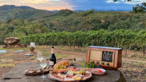 Wine Safari - Degustacija vinjakov iz Rebule