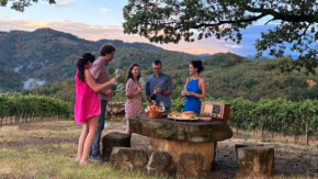 Wine Safari - Degustacija vinjakov iz Rebule