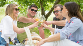 Wine Safari - Degustacija vinjakov iz Rebule