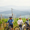 Z e-kolesom med vinogradi (2h) za 4 osebe