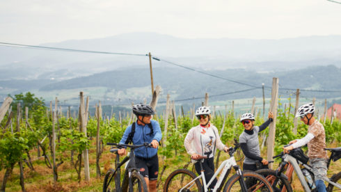 Z e-kolesom med vinogradi (2h) za 4 osebe