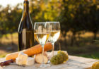 JNK vinogradništvo in vinarstvo