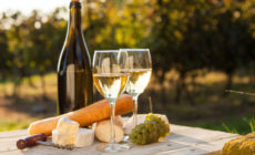 JNK vinogradništvo in vinarstvo