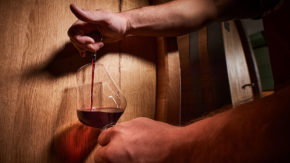 Vinska degustacija v Albiani za štiri osebe