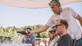 Nočitev z zajtrkom in premium degustacijo na posestvu Albiana