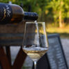 Vinoteka Konvin - Degustacija treh vrst vin + glavna jed