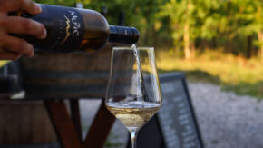 Vinoteka Konvin - Degustacija treh vrst vin + glavna jed