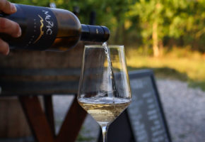Vinoteka Konvin - Degustacija treh vrst vin + glavna jed