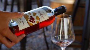 Vinoteka Konvin - Degustacija treh vrst vin + prigrizek