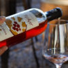 Vinoteka Konvin - Degustacija dveh vrst vin + prigrizek