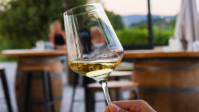 Vinoteka Konvin - Degustacija dveh vrst vin + prigrizek