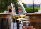 Vinoteka Konvin