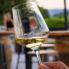 Vinoteka Konvin - Degustacija treh vrst vin + prigrizek