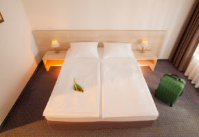 Hotel Vesna Terme Topolšica - Dve nočitvi s polpenzionom, masaža