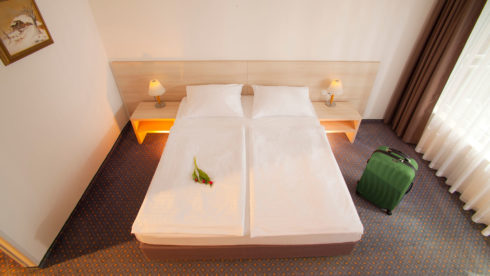 Hotel Vesna Terme Topolšica - Dve nočitvi s polpenzionom, masaža