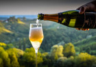 Vinoteka Jagunić vino