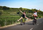 Bike Vibe - degustacija