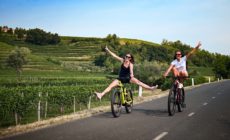 Bike Vibe - degustacija