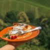Dvorec Jeruzalem - degustacija lokalnih vin