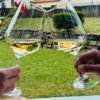 Dvorec Jeruzalem - degustacija lokalnih vin