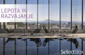 Lepota in razvajanje